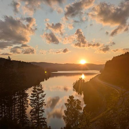 Hochschwarzwald-Hof Hotel Шлухзее Екстериор снимка