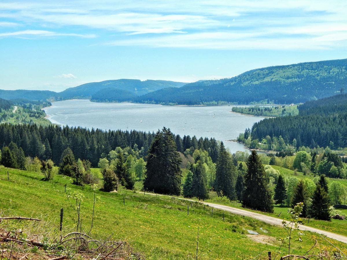 Hochschwarzwald-Hof Hotel Шлухзее Екстериор снимка